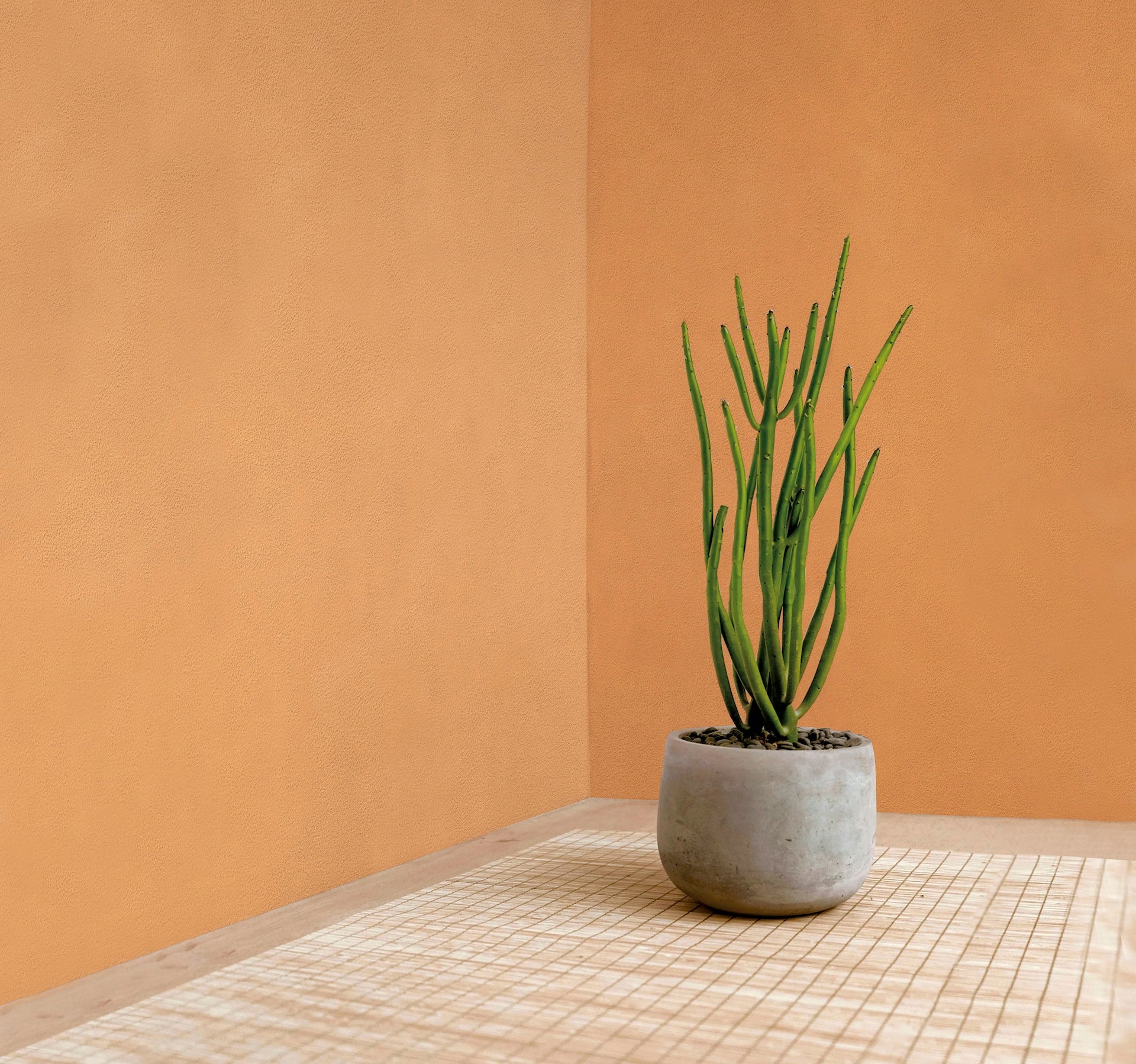 Травертино мазилка Valpaint - Meteore 10 Intonaco