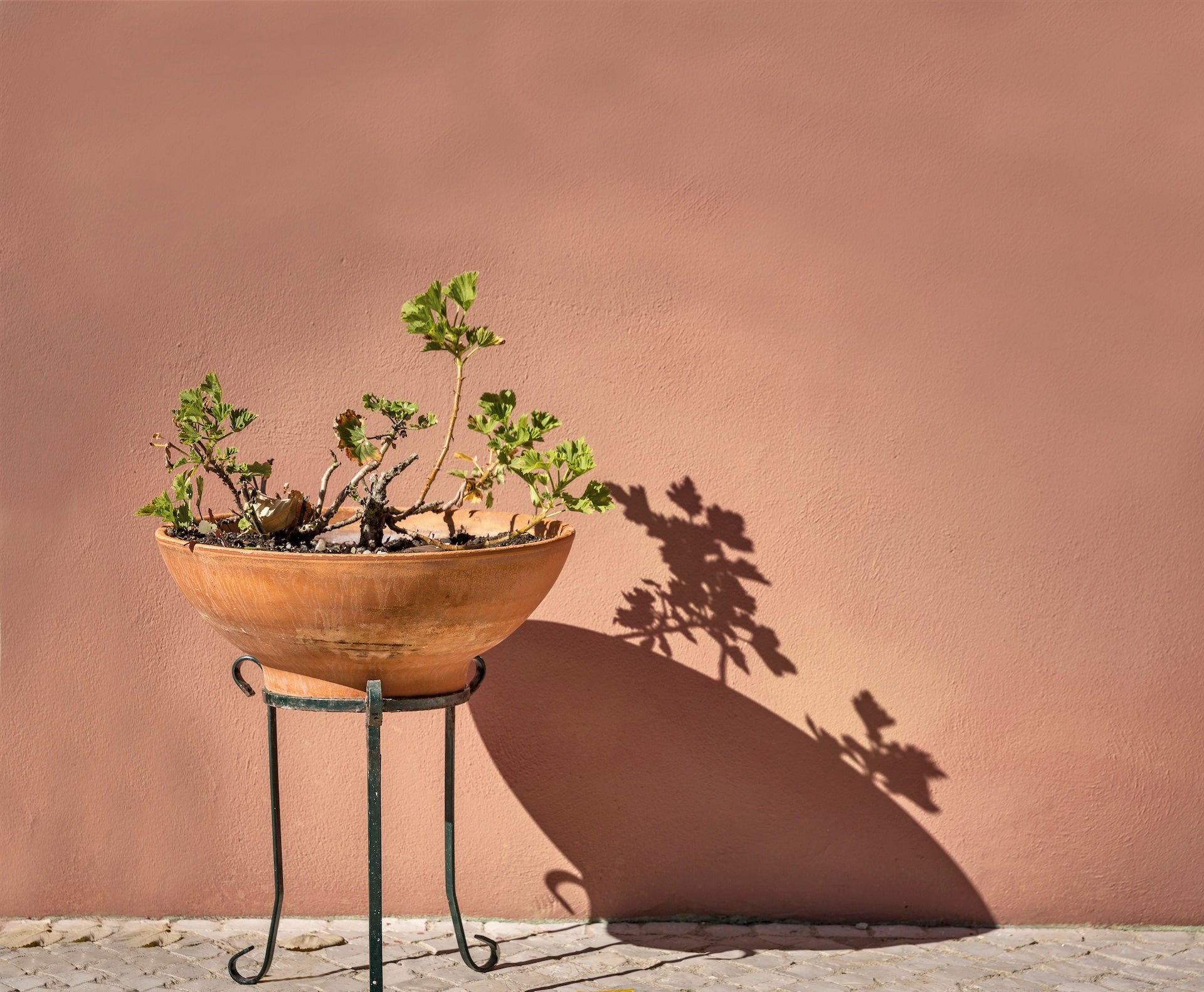 Травертино мазилка Valpaint - Meteore 10 Intonaco